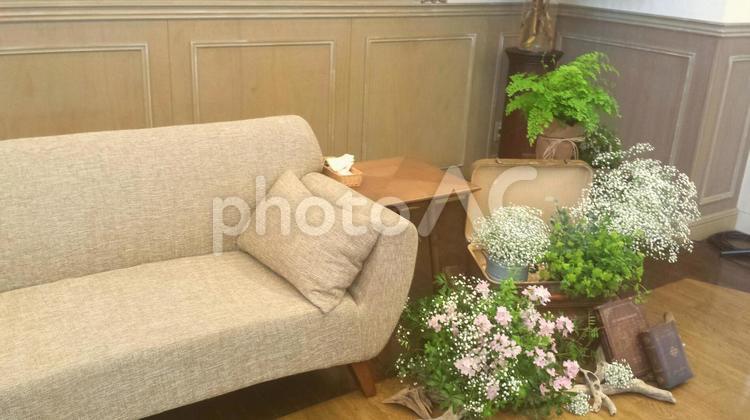 ソファと緑 ソファー,家具,家の写真素材