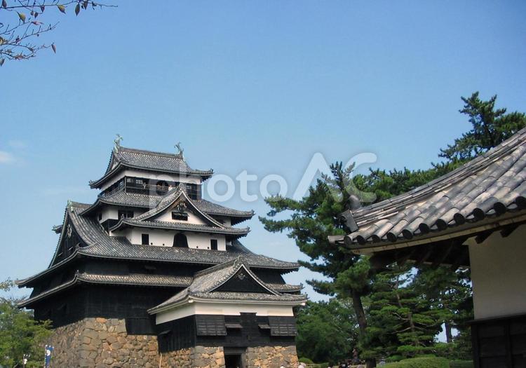 日本の城（松江城）2 千鳥城,和,和風の写真素材