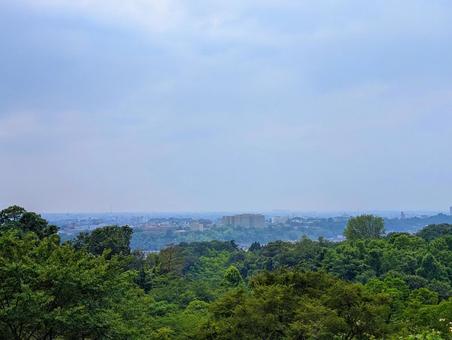 山から見た街並み 山から見た街並みの写真