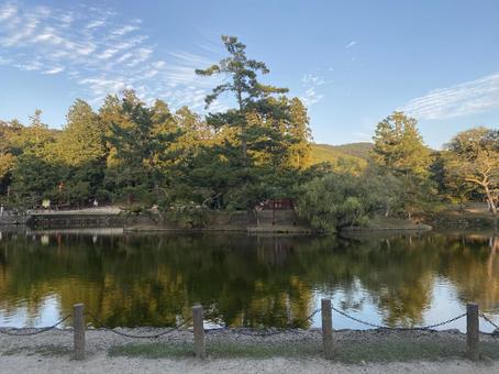 とある風景 とある風景 寺,東大寺,歴史の写真素材