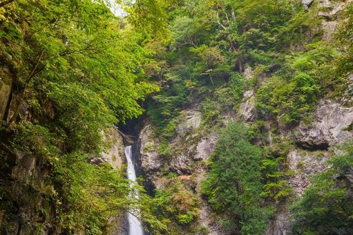 根尾の滝 秋( 飛騨小坂) 根尾の滝 秋( 飛騨小坂) 根尾の滝,渓流,渓谷の写真素材