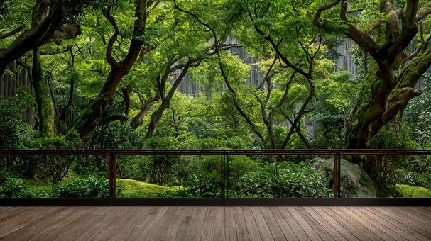 緑豊かな森の風景を望むテラス 緑豊かな森の風景を望むテラスの写真
