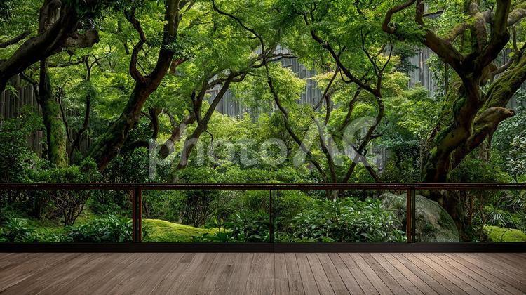 緑豊かな森の風景を望むテラス 森,緑,森林の写真素材