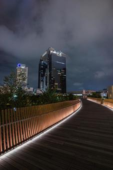 都市夜景 都市夜景 都市夜景,夜景,大阪の写真素材