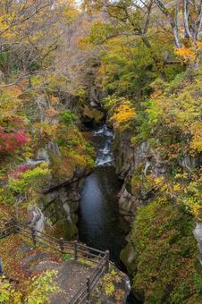 秋の磊々峡⑵ 秋,紅葉,磊々峡の写真素材
