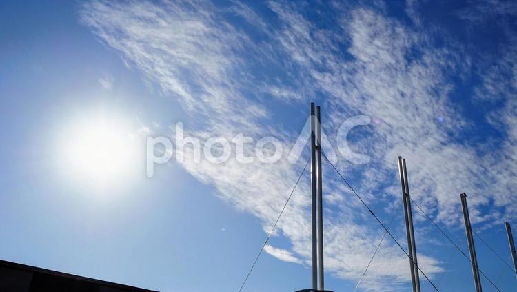 冬の太陽・葛西臨海公園の上空（江戸川区） 冬,太陽,葛西臨海公園の写真素材