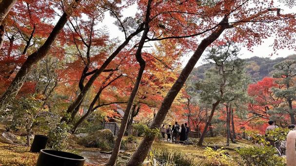 Autumn in Arashiyama, Kyoto 6, JPG Autumn in Arashiyama, Kyoto 6, JPG