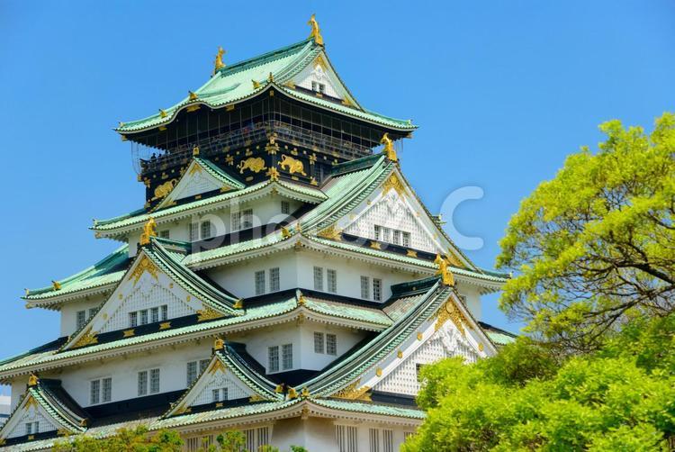 大阪城公園の景観 大阪市,大阪城公園,城の写真素材
