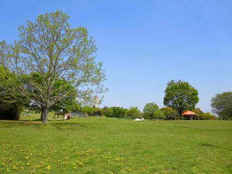 あいち健康の森公園 あいち健康の森公園,公園,リフレッシュの写真素材