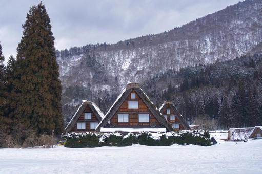 雪化粧した白川郷 雪化粧した白川郷 白川郷,合掌造り,雪景色の写真素材