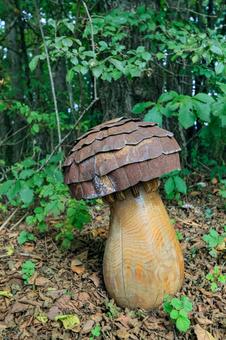 きのこ きのこ,オブジェ,森の写真素材