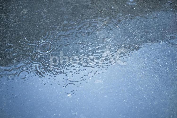 波紋が広がる雨の日の水たまり 梅雨,雨,波紋の写真素材