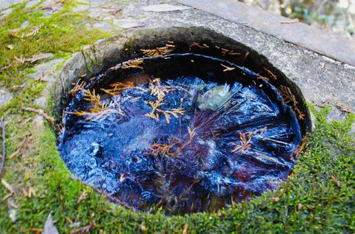 氷が張った水と落ち葉 水,水面,自然の写真素材