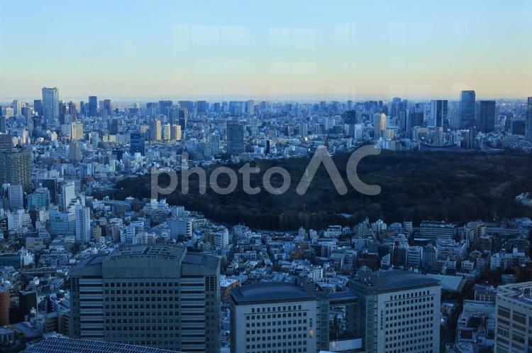 夕方の都会の街並み・皇居 都会,ビル,空の写真素材