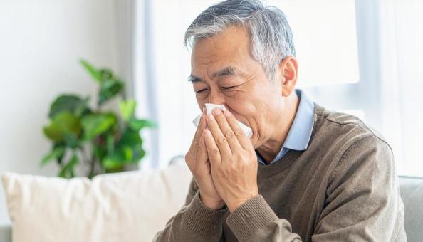 ティッシュで鼻をかむ日本人のシニア男性 ティッシュで鼻をかむ日本人のシニア男性の写真
