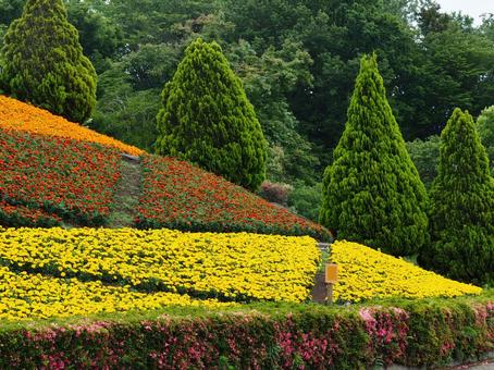 公園の花壇 公園の花壇の写真