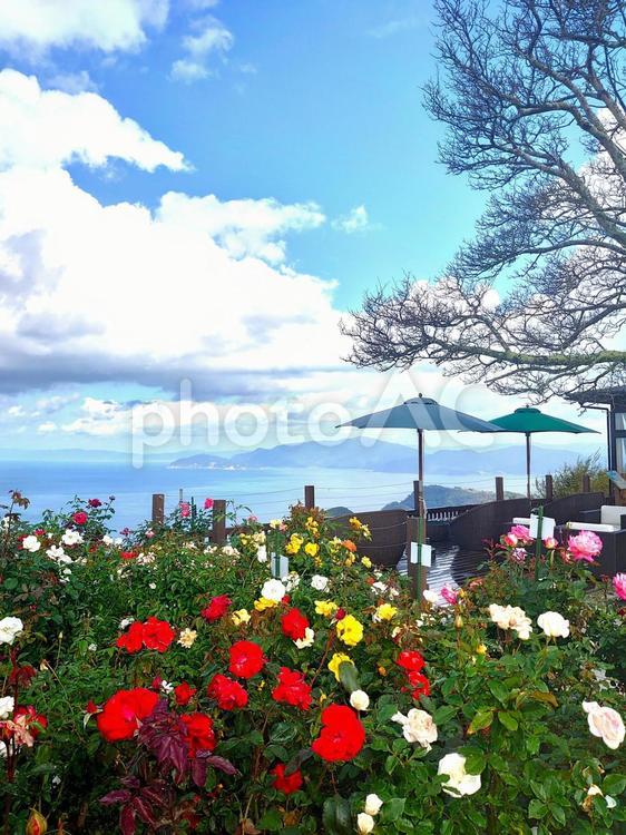 レインボーライン山頂公園の絶景　三方五湖 レインボーライン山頂公園,絶景,三方五湖の写真素材