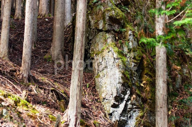 陽の当たる巨石 山,巨石,日差しの写真素材