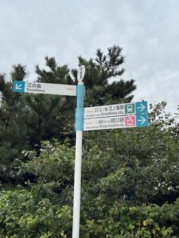 江の島の案内標識 道路標識,看板,標識の写真素材