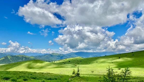 長野県霧ヶ峰 長野県霧ヶ峰の写真