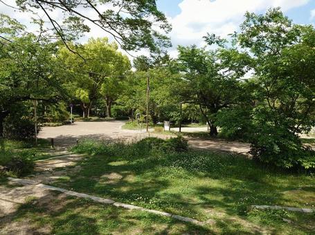 公園 公園の写真