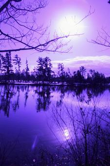 Reflected in the pond, the season, background, landscape, JPG