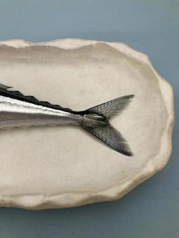 さんまの尻尾 さんま,秋刀魚,豊漁の写真素材