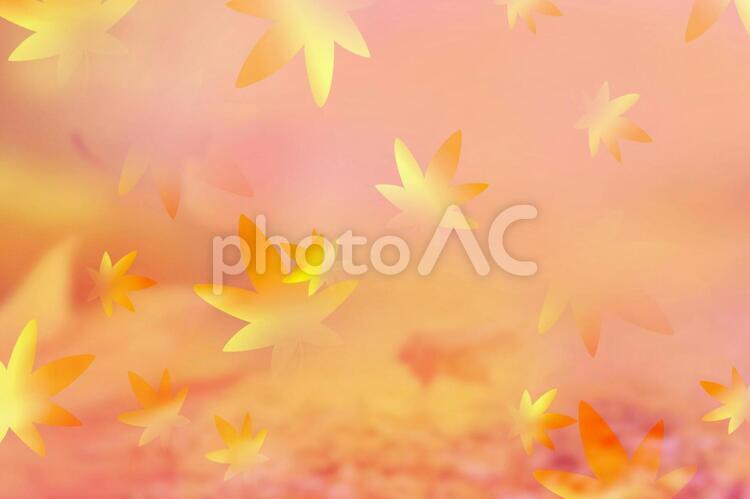 紅葉したもみじが舞い散るイメージ もみじ,ひらひら,紅葉の写真素材