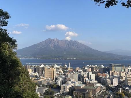 城山公園展望台から 神社,鹿児島,鹿児島旅行の写真素材