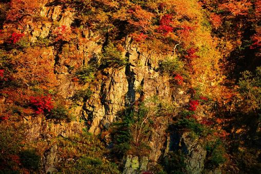 朝焼けの紅葉の北アルプスの涸沢の岩壁 朝焼けの紅葉の北アルプスの涸沢の岩壁 朝焼け,モルゲンロート,紅葉の写真素材