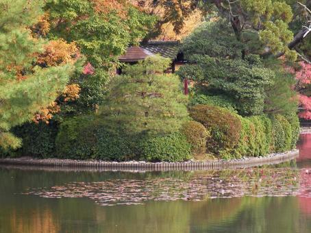龍安寺 京都 龍安寺 京都の写真