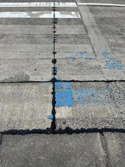横断歩道 横断歩道の写真