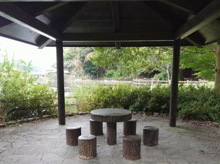 池の畔の公園2 池の畔の公園2の写真