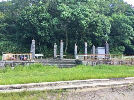 森の広場 森の広場 森,広場,公園の写真素材
