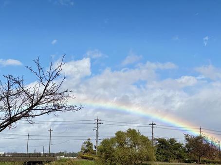 虹のある風景 虹,風景,空の写真素材
