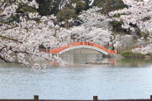垣生公園 垣生公園の写真