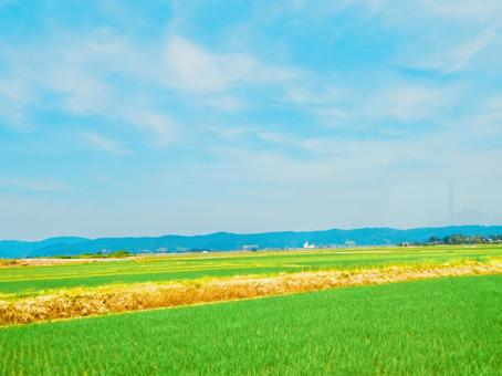 新潟の田んぼと山並みと青空の車窓 新潟の田んぼと山並みと青空の車窓 田んぼ,青空,空の写真素材