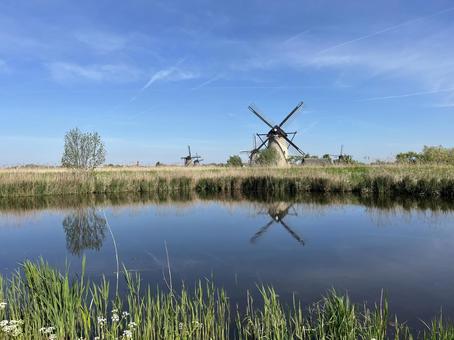 キンデルダイク＝エルスハウトの風車網 キンデルダイク,風車,オランダの写真素材