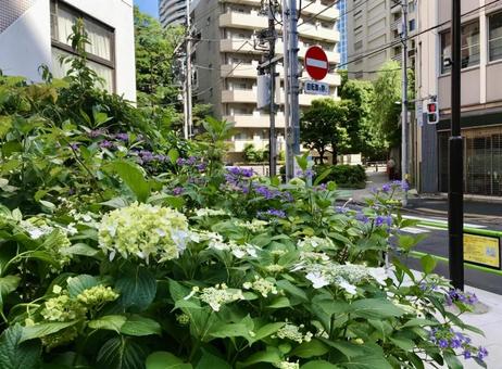 梅雨と街 梅雨と街の写真