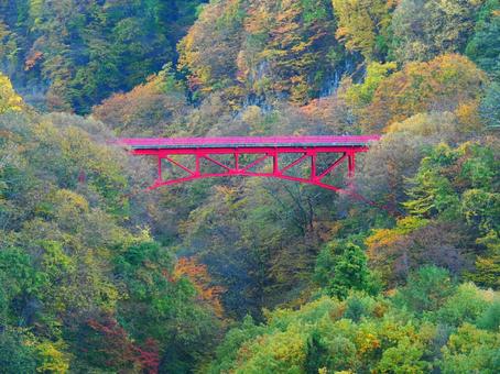 紅葉・松川渓谷高井橋 紅葉・松川渓谷高井橋 紅葉,松川,渓谷の写真素材