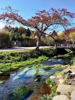川 川の写真
