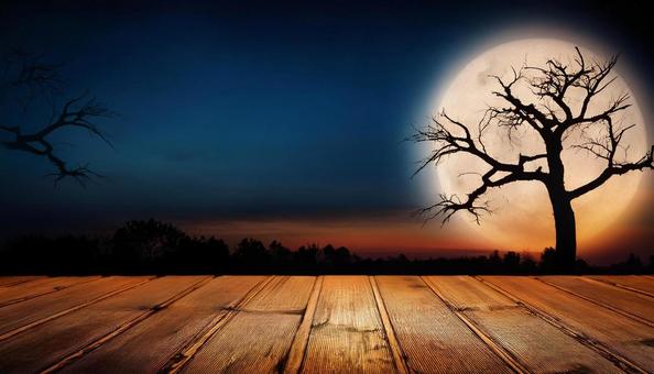 板と枯れ木と月、ハロウィンの写真