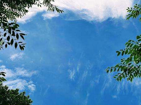 青空 青空の写真