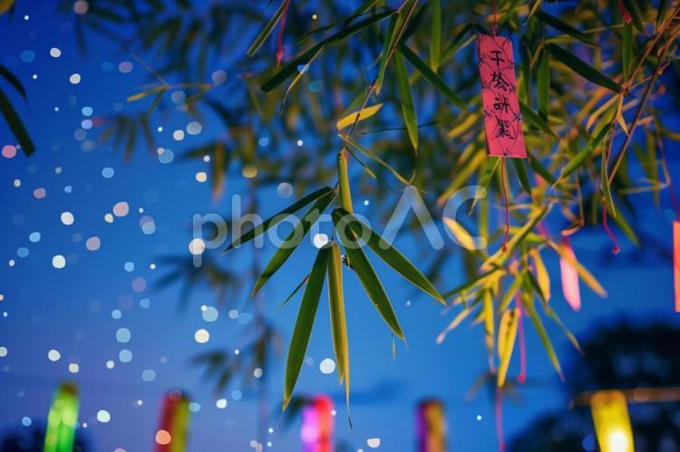 七夕の夜に揺れる笹と短冊 七夕,笹,短冊の写真素材