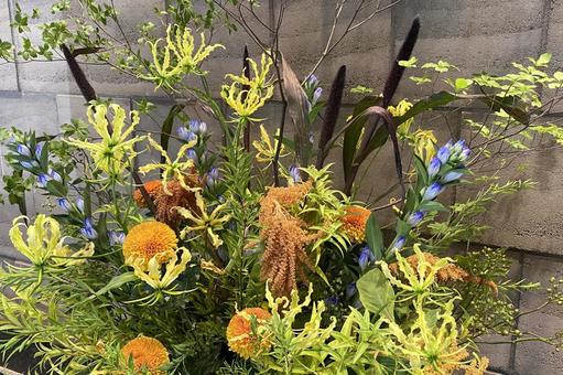季節の生け花 季節の生け花 生け花,季節の花,花の写真素材