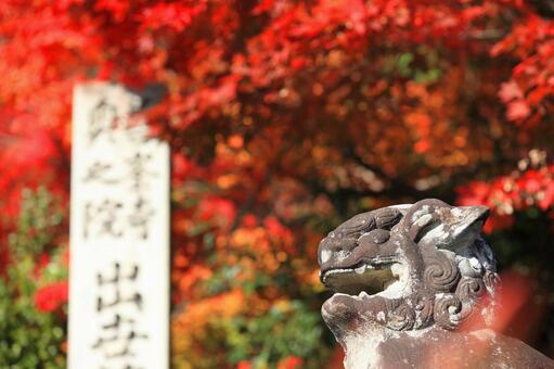 紅葉のある風景 紅葉のある風景の写真