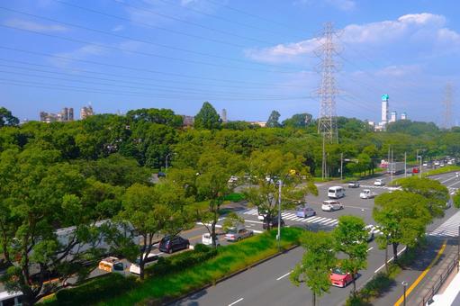 緑豊富な県道 緑豊富な県道 道路,交差点,車の写真素材