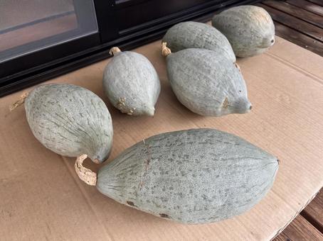 カボチャ カボチャ カボチャ,野菜,段ボールの写真素材
