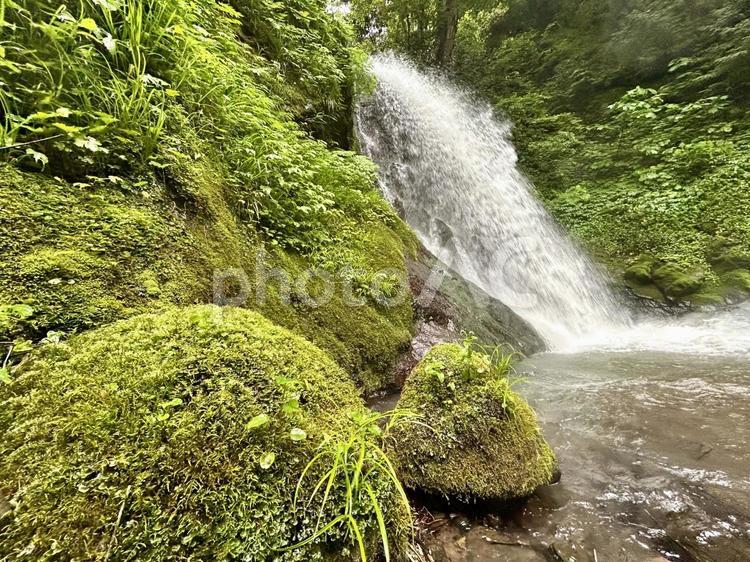 一乗滝 佐々木小次郎修行の地 苔むした岩 一乗滝,滝,水の写真素材