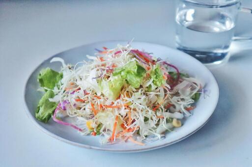 彩り野菜のヘルシー千切りサラダ 野菜,千切り,サラダの写真素材